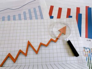 税務 調査 個人 事業 主 確率