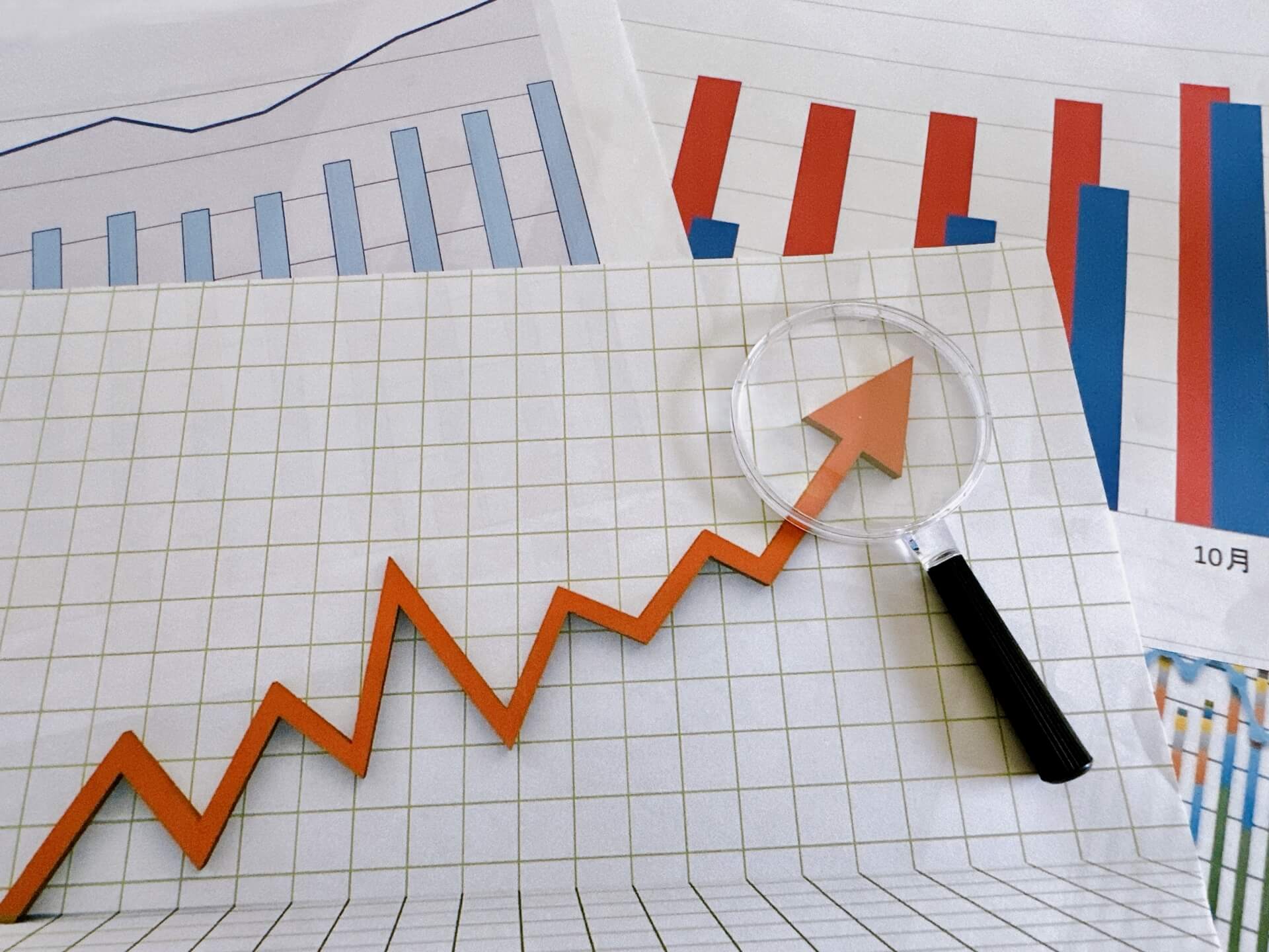 税務 調査 個人 事業 主 確率