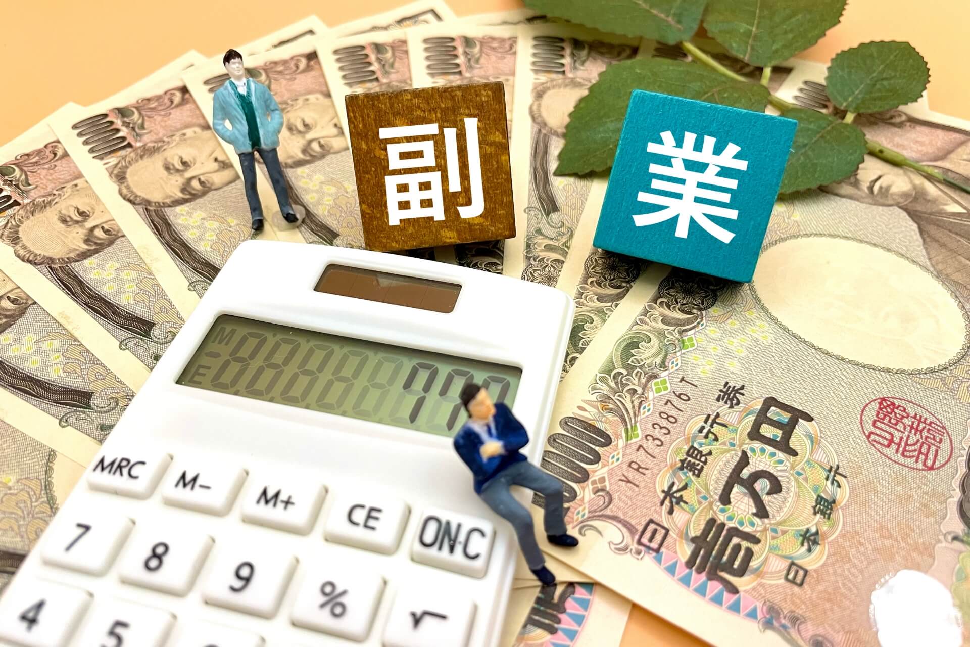 サラリーマン 副業 税務 調査